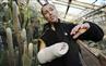 16. marts 2007: Den 37-årige biolog og gartner i Botanisk Have i København, Martin Årseth-Hansen kom for en uge siden i nærkontakt med en tyrehaj ved Galapagos. Martin slipper uden mén.