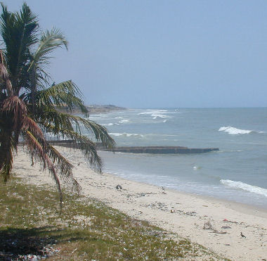 Strand/palme_Ghana