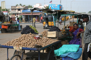 Frugthandlere i Tranquebar